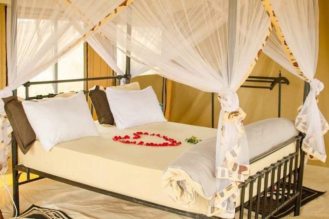 6 Days Tanzania Wildlife Camping Safari - Day 3: A full day in the Serengeti