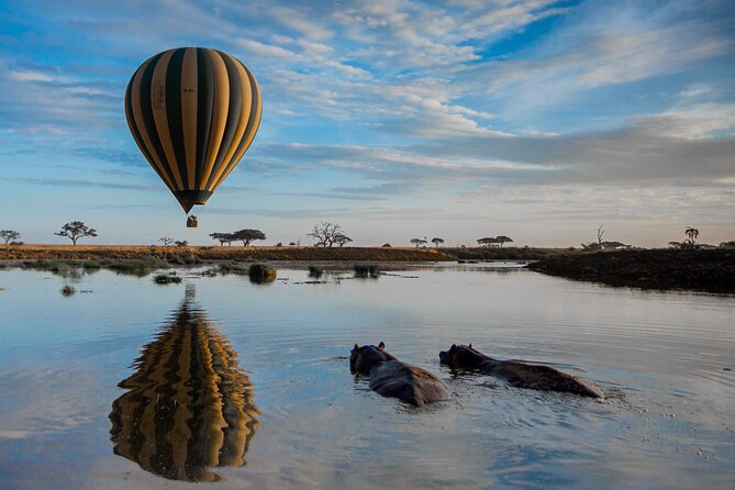 6 Days Tarangire, Serengeti, Ngorongoro & Manyara Joining Tour - The long road to Serengeti through Ngorongoro