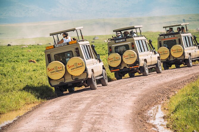 6-DayThe Best of Northern Tanzania Safari - What six days in northern Tanzania really gives you