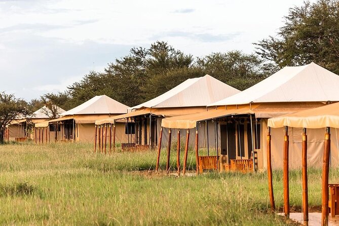 6-DayThe Best of Northern Tanzania Safari - What is included, and why the package matters