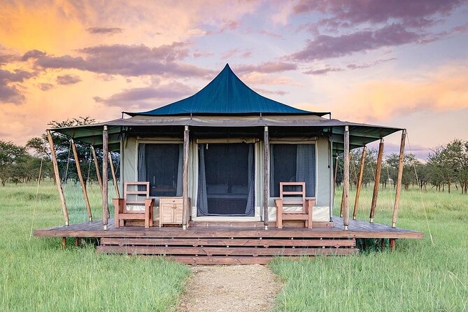 6-DayThe Best of Northern Tanzania Safari - Guides, vehicles, and the daily pace