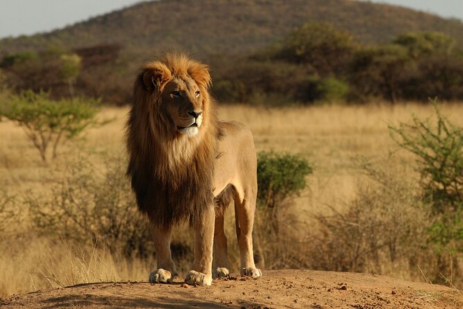 7 Day Grand Tanzania Safari - Why this seven-day route works