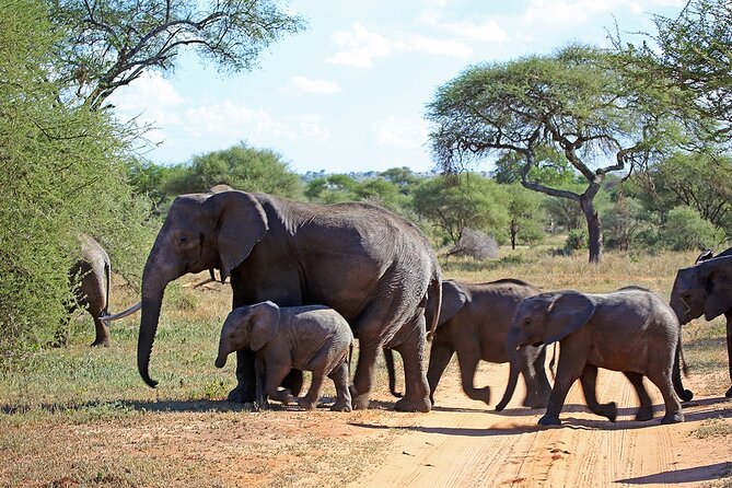 7 Day Grand Tanzania Safari - Day 2: Lake Manyara beneath the Rift Valley escarpment