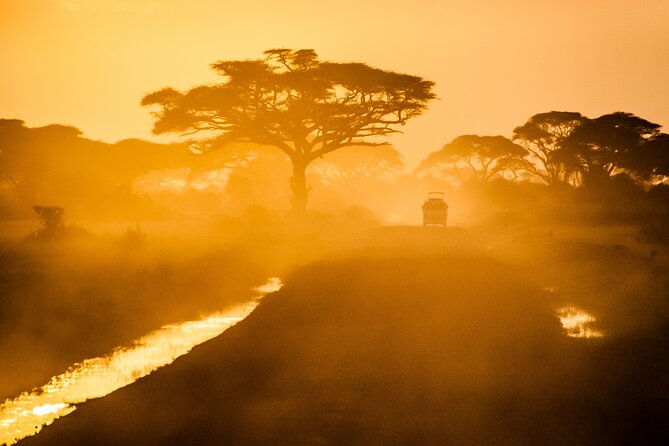 7 Day Grand Tanzania Safari - Day 5: balloon option, sunrise drive, and the road to Karatu