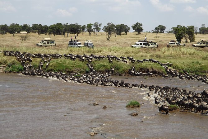 7-Day Great Migration Safari - Why this route works for a first safari