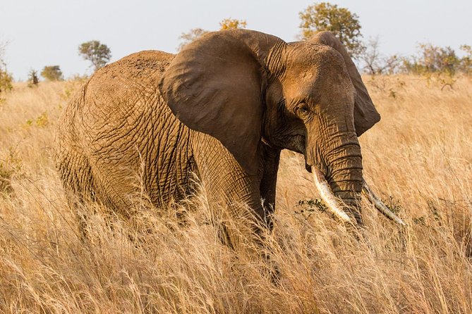 7-Day Great Migration Safari - What the $3,850 price includes