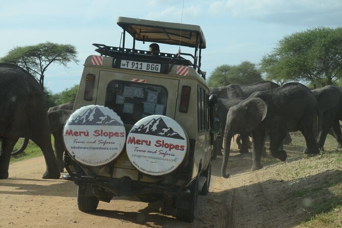 7-Day Group Camping Tarangire/Serengeti/Ngorongoro/lake Manyara - Day 1: elephants and baobabs in Tarangire