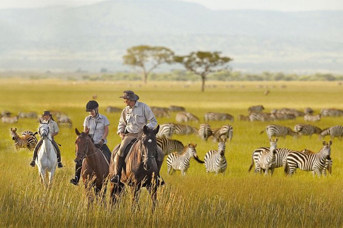 7 Day Joined Safari Serengeti,Ngorongoro,Manyara,Tarangire,Arusha National Park - Day 7: Arusha National Park beyond the big game drive