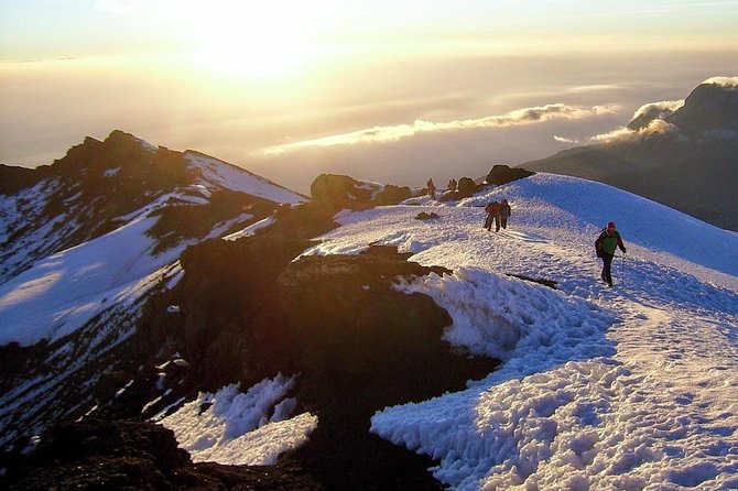 7-Day Kilimanjaro Climb–Lemosho R. Scenic Adventure to the summit - Day 1: From Moshi to the Montane Forest