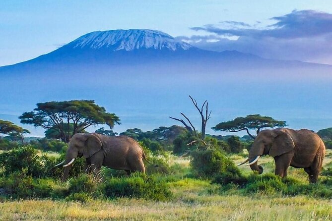 7-Day Kilimanjaro Climb Machame Route - Day 1: Machame Gate to Machame Camp