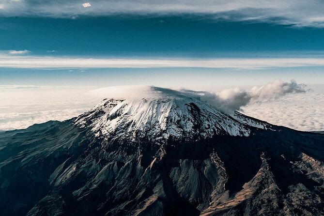 7-Day Kilimanjaro Climb Machame Route - Day 4: The Barranco Wall to Karanga Valley