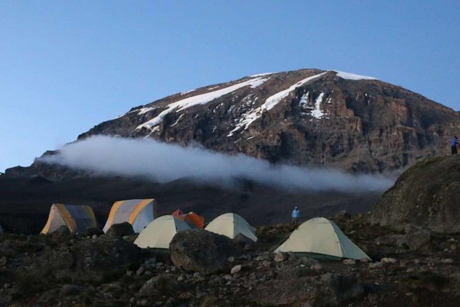 7-Day Kilimanjaro Climb Machame Route–The Best Path to Uhuru Peak - What the seven days really involve