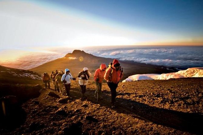7-Day Kilimanjaro Climb Machame Route–The Best Path to Uhuru Peak - Day 6: Uhuru Peak and the descent to Mweka Camp