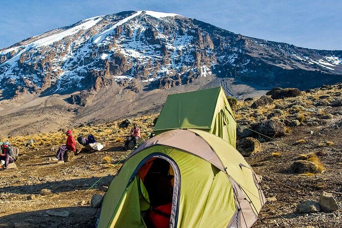 7 Day Kilimanjaro Climbing Via Lemosho Route - Day 3: Lava Tower, giant groundsels, and Barranco