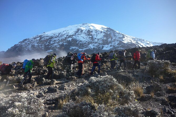 7-Day Kilimanjaro Climbing Via Machame Route - Day 5: Karanga to Barafu, the summit staging camp