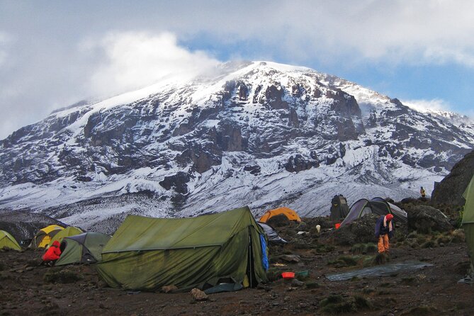 7-Day Kilimanjaro Climbing Via Machame Route - Day 7: Mweka Gate, certificates, and the return to Moshi