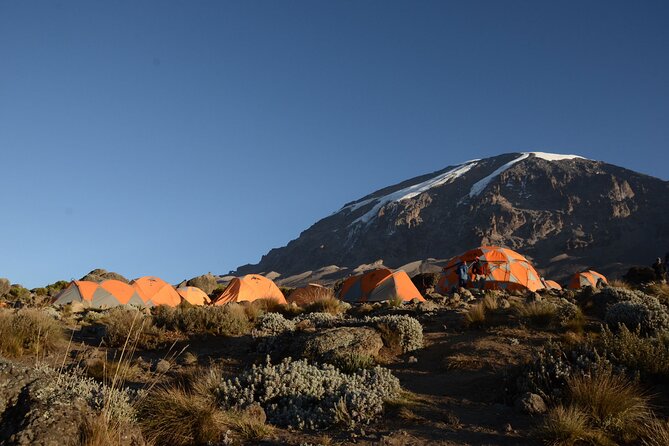 7-Day Kilimanjaro Hiking Tour via Machame Route - Key things to know before choosing Machame