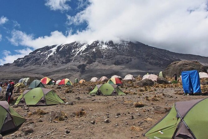 7-Day Kilimanjaro Hiking Tour via Machame Route - Day 1: Machame Gate and the rainforest