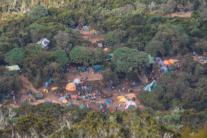 7 Day Kilimanjaro Machame climb - Day 4: Scrambling over the Barranco Wall