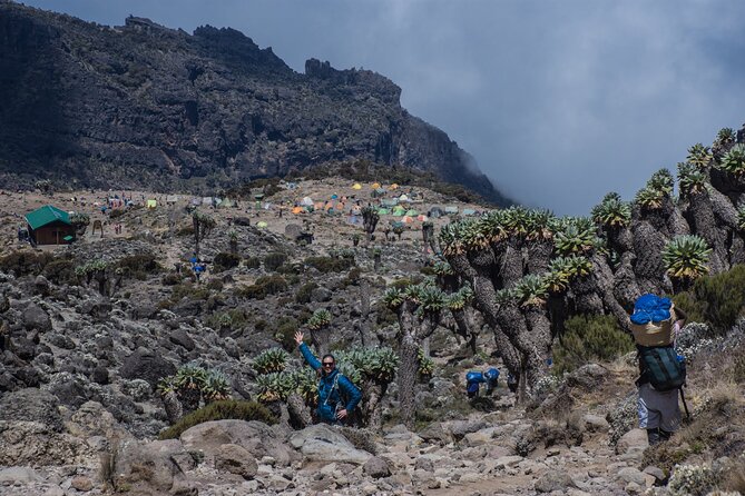 7 Day Kilimanjaro Machame climb - Day 5: A short walk to summit camp
