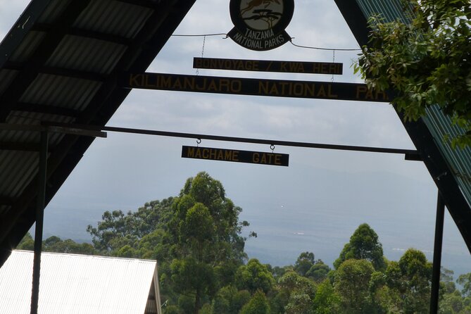 7 Day Kilimanjaro Machame climb - Day 2: Heather, moorland, and views toward Shira
