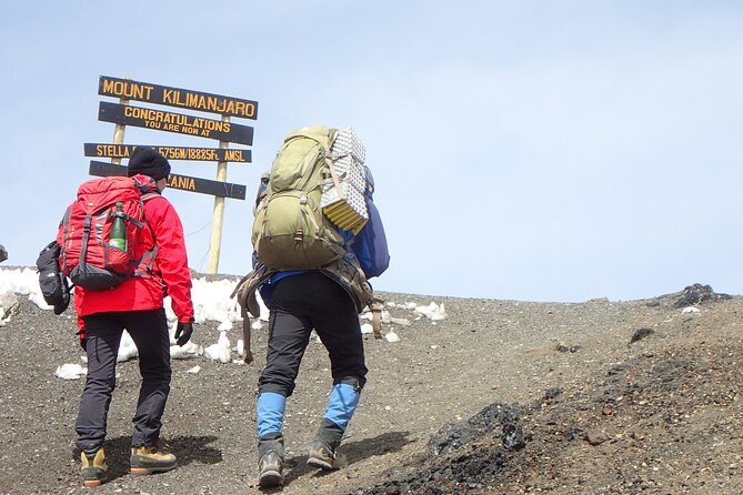 7-Day Kilimanjaro Trekking Tour via Machame Route - Day three: heath, moorland, and Shira Plateau