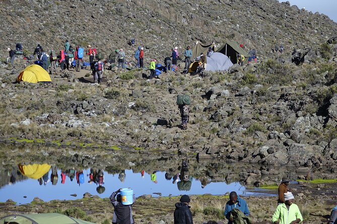 7-Day Kilimanjaro Trekking Tour via Machame Route - Day five: the Barranco Wall and the climb to Barafu