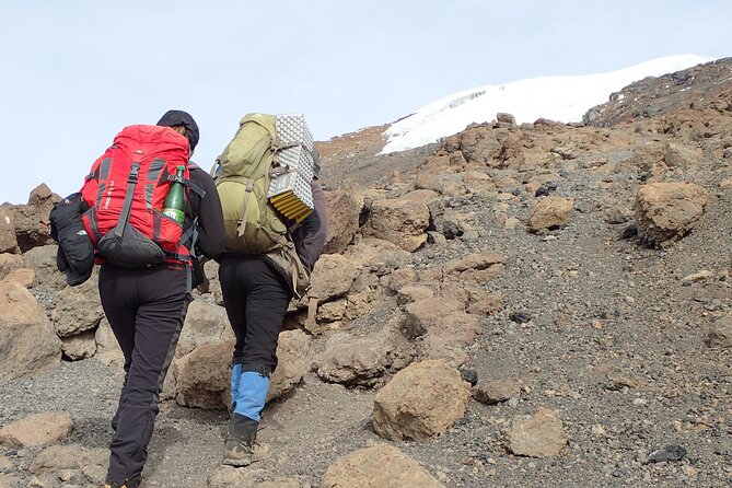 7-Day Kilimanjaro Trekking Tour via Machame Route - Day six: the midnight push to Uhuru Peak