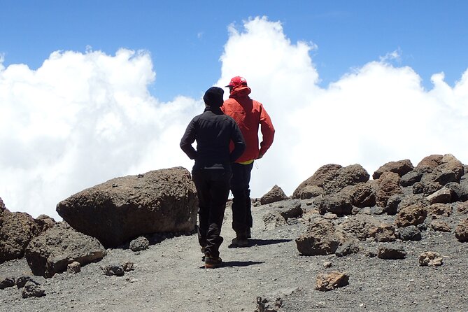 7-Day Kilimanjaro Trekking Tour via Machame Route - Day seven: farewell, rainforest, and a proper shower