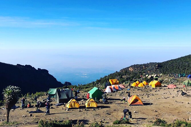 7-Day Machame Route Kilimajaro - Key points to know before you book