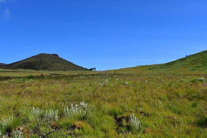 7-Day Machame Route Kilimajaro - Day 7: Mweka Gate and the return to Moshi