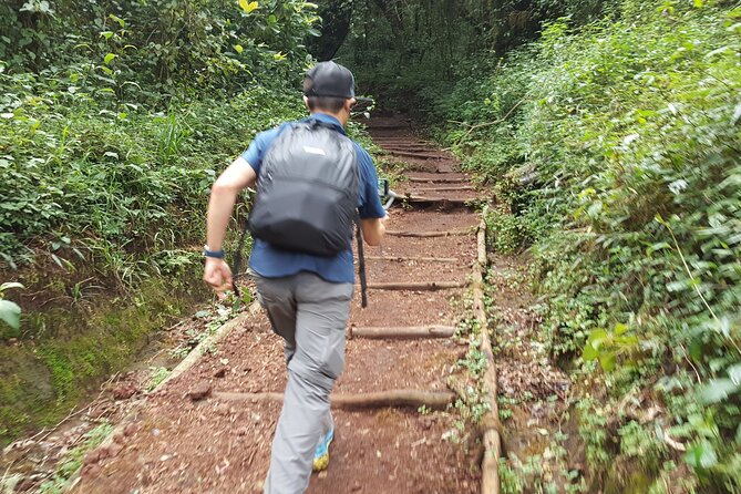 7-Day Mountain Climbing in Machame Route - Day 3: Volcanic rock, high ground, and an itinerary detail to check