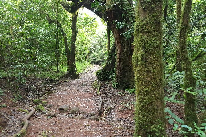 7-Day Mountain Climbing in Machame Route - Day 5: Barafu Camp and the wait for summit night