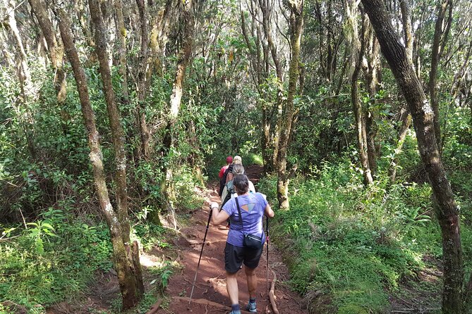 7-Day Mountain Climbing in Machame Route - Day 6: The midnight climb to the summit