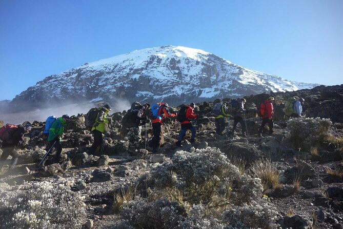 7-Day Mt. Kilimanjaro Hiking: Machame Route - Day 5: Karanga to exposed Barafu Camp
