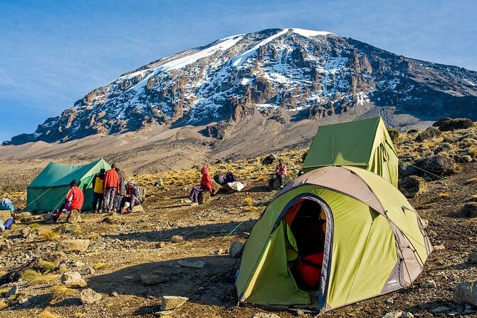 7-Day Mt. Kilimanjaro Hiking: Machame Route - Day 7: Forest descent, certificates, and Mweka Gate