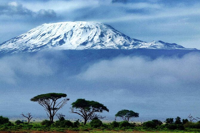 7-Day Mt. Kilimanjaro Hiking: Machame Route - Day 1: Machame Gate and the wet rainforest