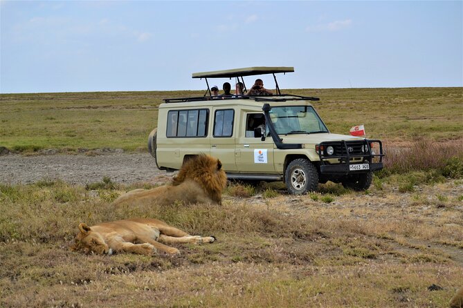 7-Day North Tanzania Classic Safari - What this seven-day safari is really like