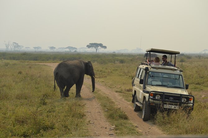7-Day North Tanzania Classic Safari - Day six: Olduvai Gorge, Maasai culture, and Ngorongoro Crater