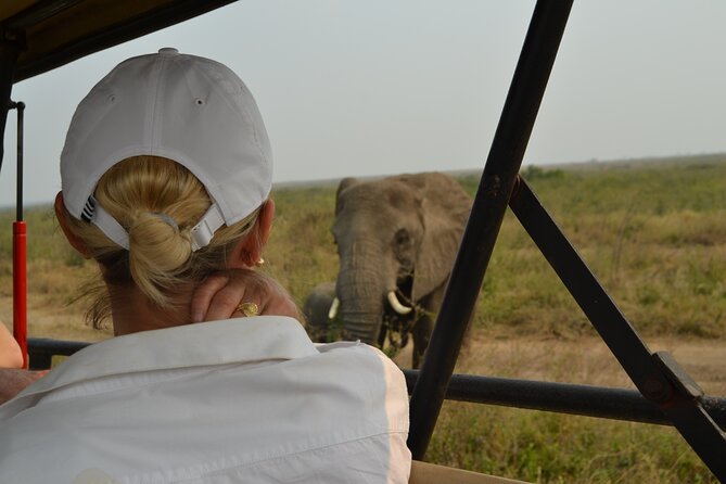 7-Day North Tanzania Classic Safari - Day seven: return to Arusha or connect onward