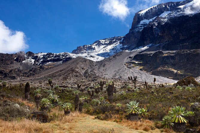 7-Day Private Kilimanjaro Hiking Tour via Machame from Arusha - Why the Machame Route works so well
