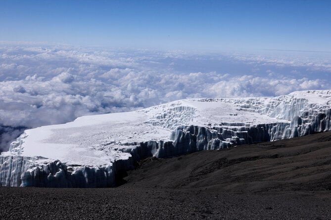 7-Day Private Kilimanjaro Hiking Tour via Machame from Arusha - Day 7: Mweka Forest and the return to Arusha