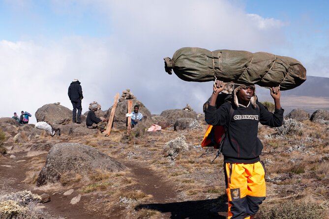 7-Day Private Kilimanjaro Hiking Tour via Machame from Arusha - Day 2: Shira Plateau and the first major altitude gain
