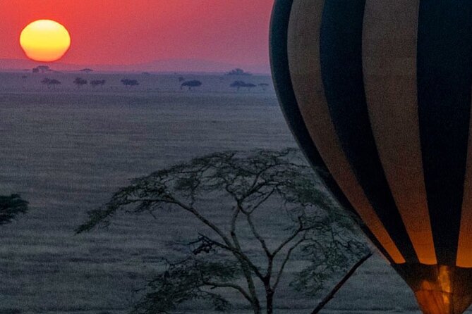 7-Day Private midrange Tour in Arusha with Airport Pickup - Day 2: Lake Manyara’s lake edge and forest