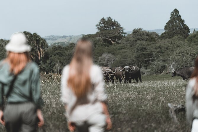 7 Day Safari in Tanzania National Parks - Day 4: Ngorongoro Crater’s Dense Wildlife