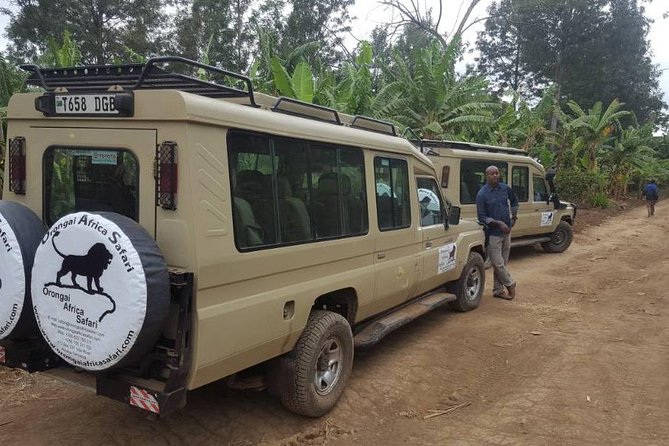 7-Day Safari (Including Serengeti) & Zanzibar Extension - Sunrise in the Serengeti, then Ngorongoro