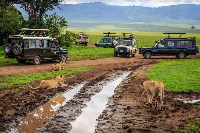 7-Day Safari (Including Serengeti) & Zanzibar Extension - Who gets the best value from this trip