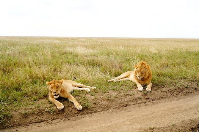 7 Day Tanzania visiting Arusha, Lake Manyara, Serengeti, Ngorongoro & Tarangire - Day 1: Arusha National Park and Mount Meru