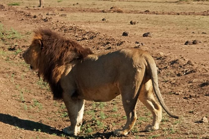 7 Day Tanzania visiting Arusha, Lake Manyara, Serengeti, Ngorongoro & Tarangire - Day 3: The long road into the Serengeti