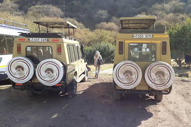 7 Day Tanzania visiting Arusha, Lake Manyara, Serengeti, Ngorongoro & Tarangire - Day 4: Full-day wildlife search around Seronera